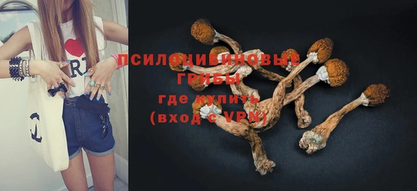 кокс Вяземский