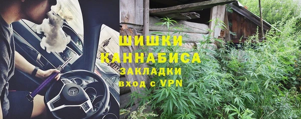 ешки Горняк
