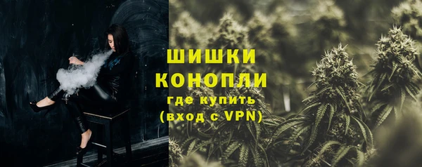 ешки Горняк