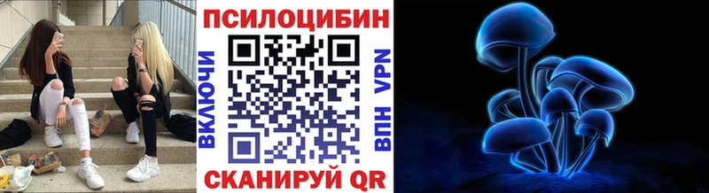 Галлюциногенные грибы Cubensis  Купить где  Кизел 